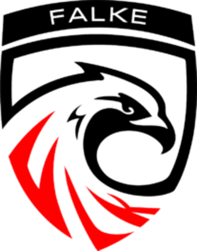Logo de FALKE Esports